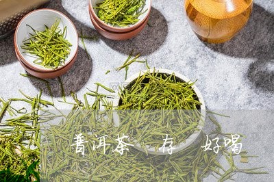 普洱茶 存 好喝/2023041079251